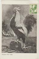 Carte-Maximum ALGERIE N° Yvert 219 (COQ) Obl Sp 1er Jour - Maximum Cards