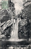 CPA   IRLANDE DU NORD---LONDONDERRY---NESS WATERFALL---1909 - Londonderry