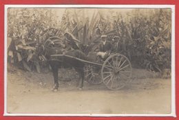 TRANSPORT --  Carte Photo - - Andere & Zonder Classificatie