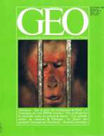 Geo  N°37  Mars 1982  Icebergs Armee Suisse Omo Paris 2000 Trafic D'Animaux Ile Christmas - Géographie