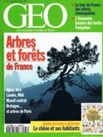 Geo  N°187  Sept 1994  Arbres Et Foret De France Tibesti Lutteurs En Inde Palestine Shetland Sukhothai - Géographie