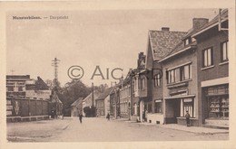 Postkaart/Carte Postale MUNSTERBILZEN Dorpzicht  (C246) - Bilzen