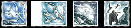 ** N°55/58, Série Oiseaux De 1955, TB (certificat)  Qualité: **  Cote: 575 Euros - Airmail