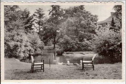 HOOGBOOM - Notre-Dame De Grâce - Maison De Repos "Welvaart" - L'Etang - Boom