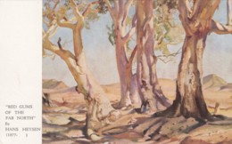 Northern Australia, Heysen Artist Signed Image 'Red Gums Of The Far North' Painting On C1950s Vintage Postcard - Outback