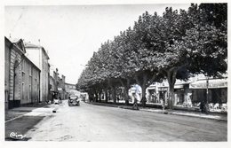 205-3790 - 30 - Pont-Saint-Esprit, Caserne Pépin, Promenade Du Nord - Pont-Saint-Esprit