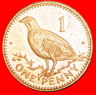 # BIRD: GIBRALTAR ★ 1 PENNY 2001AA! LOW START ★ NO RESERVE! - Gibilterra