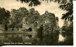 007408  Wörlitzer Park  Bei Dessau - Der Stein  1959 - Dessau