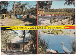 Stramproy - Camping 't Vosseven - Weert