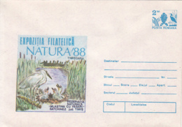 77950- LITTLE EGRET, BIRDS, COVER STATIONERY, 1988, ROMANIA - Pélicans