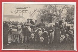 FOLKLORE --  NORMANDIE --  La Normandie C.P.A. --  La Vie Normande  - N° 22 - Marché Aux Veaux - Other & Unclassified