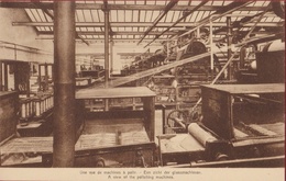 Sint-Gillis-bij-Dendermonde - S.A. Flandria - Een Zicht Der Glansmachienen - Une Vue De Machines - Factory Cotton Mill - Dendermonde