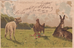 Alfred Mailick - Ostern Easter Lamb Chicken Rabbit Bunny 1902 - Mailick, Alfred