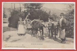 FOLKLORE -- AUVERGNE -- Attelage Auvergnat - Other & Unclassified