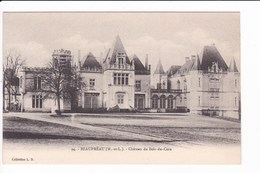 94 - BEAUPREAU - Château Du Bois-du-Coin - Andere & Zonder Classificatie