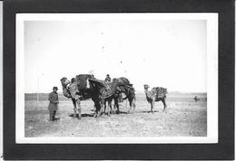 CPA Perse Iran Persia Non Circulé Carte Photo RPPC - Iran