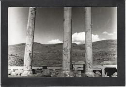 CPA Perse Iran Persia Carte Photo RPPC Non Circulé Perspolis - Iran