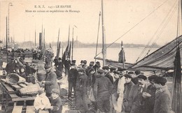 76-LE-HAVRE-MISES EN CAISSES ET EXPEDITIONS DE HARENGS - Harbour