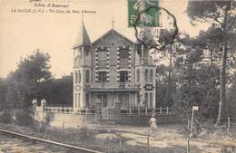 44-LA-BAULE- UN COIN DU BOIS D'AMOUR - La Baule-Escoublac