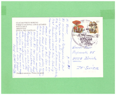 1994 ARGENTINA SANTA CRUZ AIR MAIL POSTCARD WITH 2 MUSCHROOMS STAMPS TO SWISS - Storia Postale