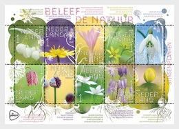 Nederland / The Netherlands - Postfris / MNH - Sheet Natuur, Planten 2019 - Neufs