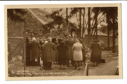 CPA - Carte Postale-Belgique - Beauraing- Au Pied De La Grotte... VM1604 - Beauraing