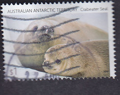 Antartique Australien: Phoques - Other
