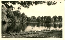 007475  Wiener-Neustadt - Pionierteich Im Parke Der Kriegsschule - Wiener Neustadt