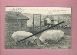 CPA - Voir Montjavoult - Elevage Les Rontils -(Oise) Et La Pairie (Seine )-... (  Cochon , Cochons , Truites , Truites ) - Montjavoult