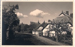 Ostseebad WUSTROW Mecklenburg Neue Strasse Datiert 1952 TOP-Erhaltung Ungelaufen - Ribnitz-Damgarten