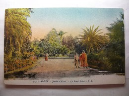 Carte Postale Algérie - Alger - Jardin D'Essai - Le Rond Point ( Petit Format Couleur Non Circulée ) - Benin