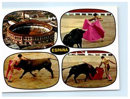 Corrida - Toros - Typique Course De Taureaux - Espana - Corridas