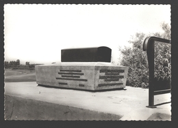 Sint-Amands / St-Amands A/Schelde - Sarcophaag Emile & Marthe Verhaeren - Fotokaart - Sint-Amands