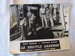 Le Souffle Sauvage , Gary Cooper & Anthony Quinn , 1953 - Famous People