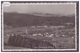 DISTRICT D'ORON - PALEZIEUX VILLAGE - TB - Palézieux