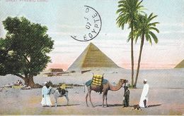 Le Caire, Les Pyramides (Great Pyramid, Cairo) - Th. E.L. Série 945 - Carte Non écrite - Cairo