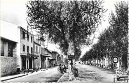 205-3816 -   13 - La-Roque-d'Anthéron, Cours - Other & Unclassified