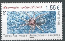 TAAF 2019 - Neomaso Antarcticus - Unused Stamps