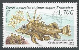 TAAF 2019 - Poisson Cacique Antarctique - Unused Stamps