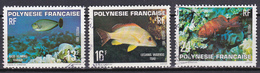 Polynésie Faune Marine Naso Vlamingi Lutjanus Vaigiensis Plectropomus Leopardus N°160 à 162 Oblitéré - Used Stamps
