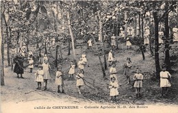 78-CHEVREUSE- VALLE DE CHEVREUSE- COLONIE AGRICOLE N.D DES ROSES - Chevreuse