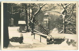 Tharant - Am Schloss - Foto-Ansichtskarte - Verlag H. Schönbach Fotograf Hartha - Rückseite Beschrieben 1952 - Tharandt