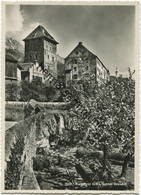 Maienfeld - Schloss Brandis - Foto-AK Grossformat - Verlag Foto-Gross St. Gallen - Maienfeld