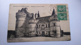 Carte Postale ( P6 )  Ancienne De Monts Sur Guesnes , Chateau De La Roche Dumaine - Monts Sur Guesnes