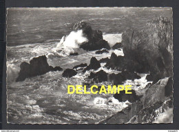 DF / 29 FINISTÈRE / CLÉDEN-CAP-SIZUN / LES ROCHERS DE LA POINTE DU VAN / 1963 - Cléden-Cap-Sizun