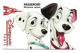 Passeport Disney Moyenne Saison  17 03 95 - Passeports Disney