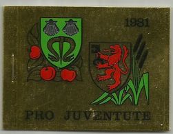Switzerland 1981 - Booklet , Used - Markenheftchen