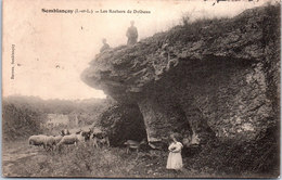 37 SEMBLANCAIS - Les Rochers De Dolbeau - Semblançay