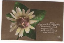 3852 - Dix 823/5 FEMME ET MARGUERITE- L'oracle De La Marguerite Qu'importe Ton Secret Marguerite Jolie - Flowers