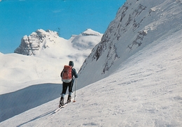 Alpinism , Climbing , Bergsteigen , Ski - Dolomiti Brenta Italy 1978 - Klimmen